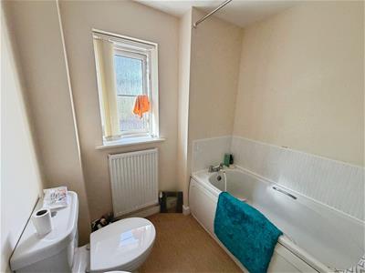 Picture 12